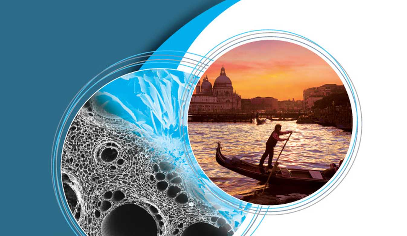 Bioceramics